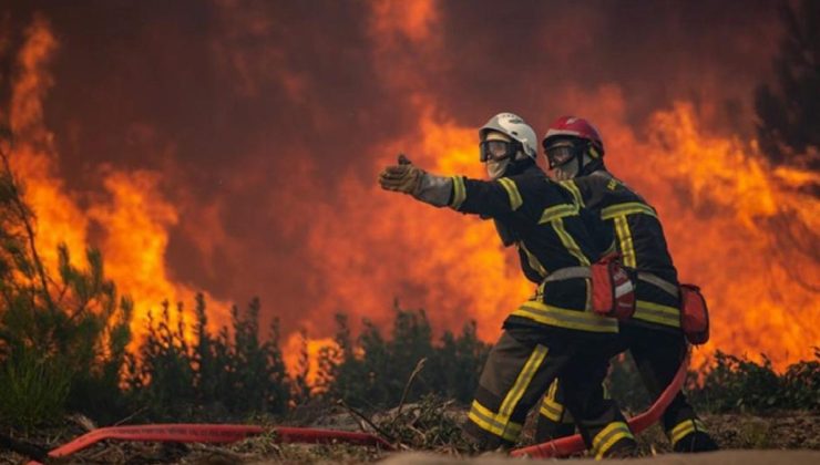 İngiltere’de bu yıl çıkan orman yangını sayısı açıklandı