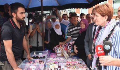 Meral Akşener’i sokak köpeği ısırdı