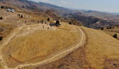 Sivas’ta bulunan bir avuç ata tohumu, 70 ton ürün verdi