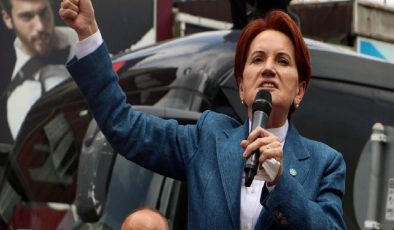 Sol Haber, Akşener’i ısıran köpeğin öldüğünü çirkin bir üslupla yazdı