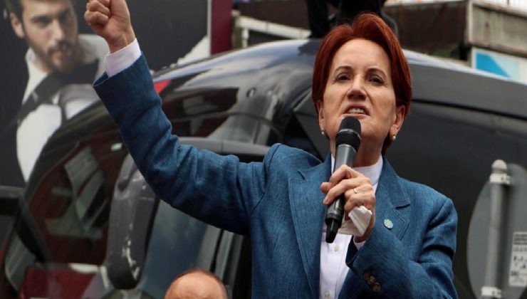 Sol Haber, Akşener’i ısıran köpeğin öldüğünü çirkin bir üslupla yazdı