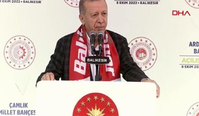 Son dakika… Cumhurbaşkanı Erdoğan: Kayıplar telafi edilecek