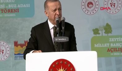 Son dakika… Cumhurbaşkanı Erdoğan’dan önemli açıklamalar