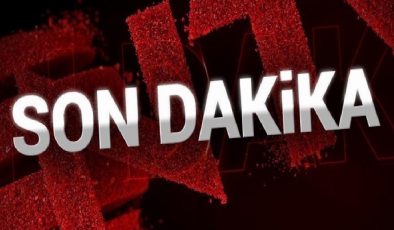 SON DAKİKA HABERİ: Cumhurbaşkanı Erdoğan, Cezayirli mevkidaşı ile görüştü